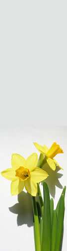 Frühling 2023